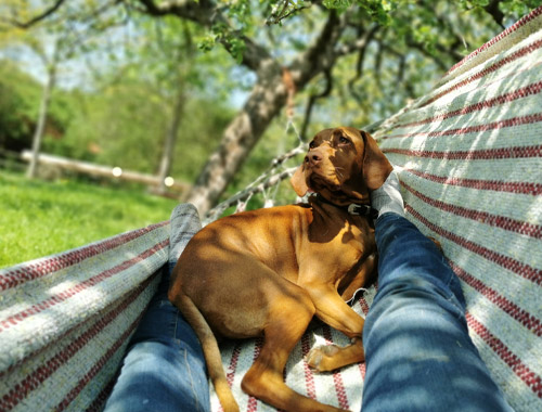 Katy in der Hängematte