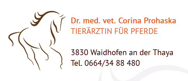 Pferdetierarzt Waldviertel