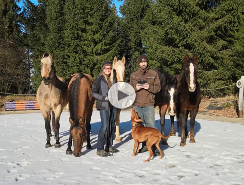 Weihnachtsvideo vom Team der Red Oak Ranch